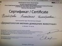 Сертификат отделения 65-Летия Победы 12к2