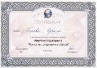 Сертификат сотрудника Попова И.А.