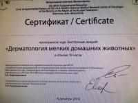 Сертификат сотрудника Нестерова А.Д.