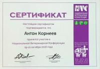 Сертификат сотрудника Корнеев А.Е.