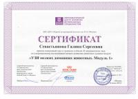 Сертификат отделения Павла Корчагина 2