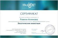 Сертификат сотрудника Алимова Р.Р.