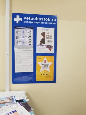 Фотография Vetuchastok 1