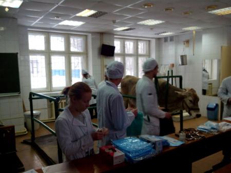 Фотография ГБУ Московская станция по борьбе с болезнями животных 0