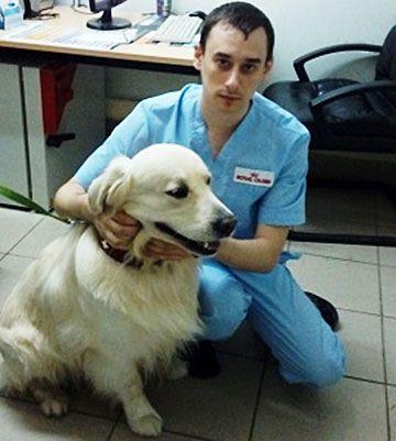 Фотография Ветеринарная клиника Хатико-Ярославская 1